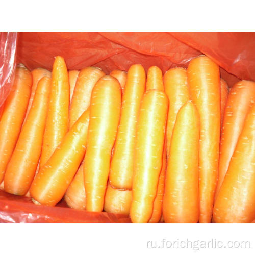 Новый урожай моркови 80-150г